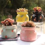 Cute Indoor flower plant Pot
