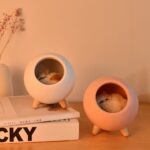 Cute Cat night light and bluetooth speaker
