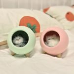 Cute Cat night light and bluetooth speaker - Image 4