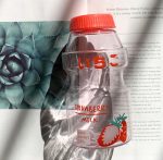 480ml Kawaii Peach strawberry bananna avocado Water Bottle - Image 9