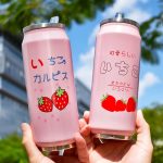 Pink Strawberry Thermal Flask With Straw Stainless Steel Tumbler Mug - Image 8