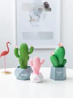 Pink and Green Cactus Plant Decor