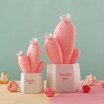 Pink and Green Cactus Plant Decor - Image 2