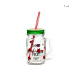 Fruit Day 450ML Mason Jar Glass with Straw - Image 8