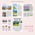 Girl Star retro English hand account diy decorative material Junk paper - Image 13